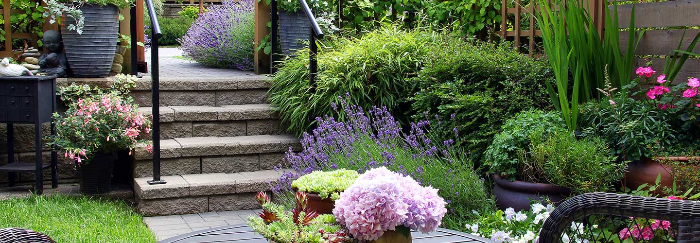 SpeedyGrass&Nursery-584877834
