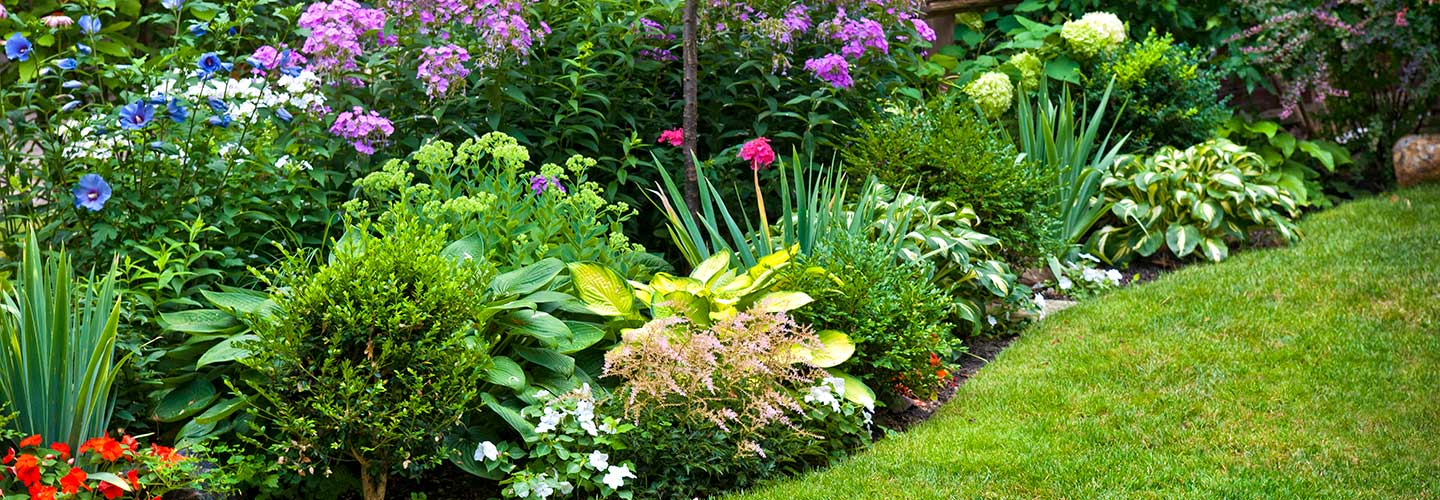 SpeedyGrass&NurseryFlowers-154046398