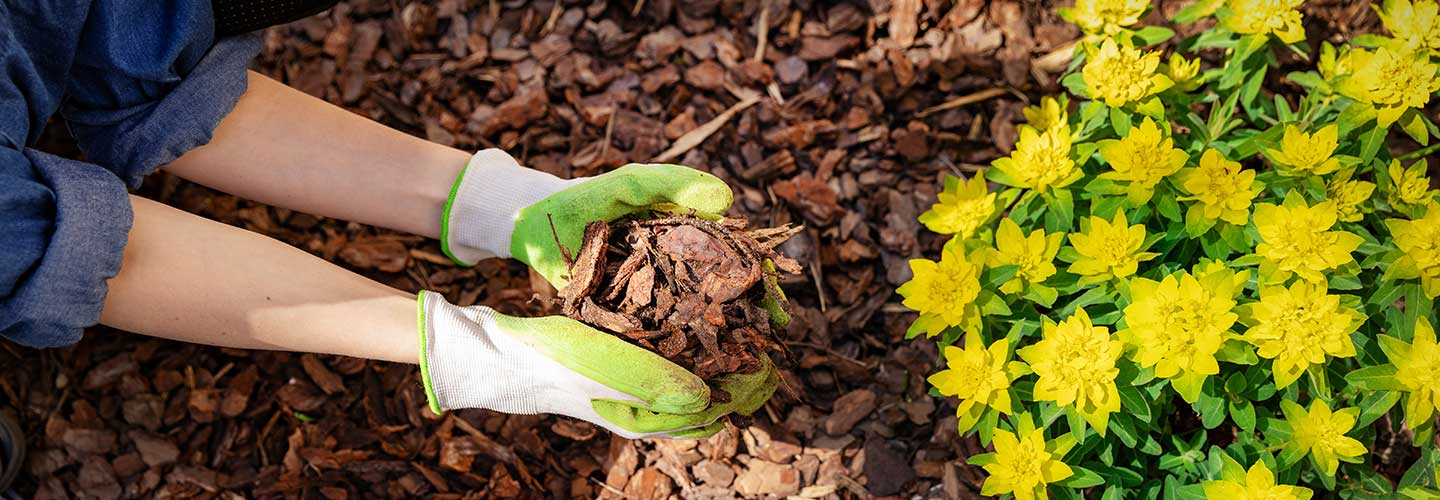 SpeedyGrass&NurseryMulch-1147539676